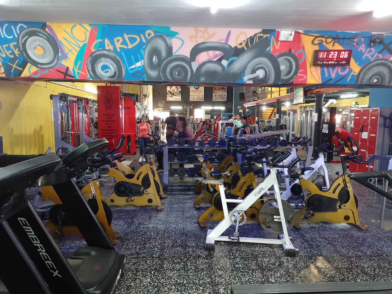 Instalaciones de Perfil Gym